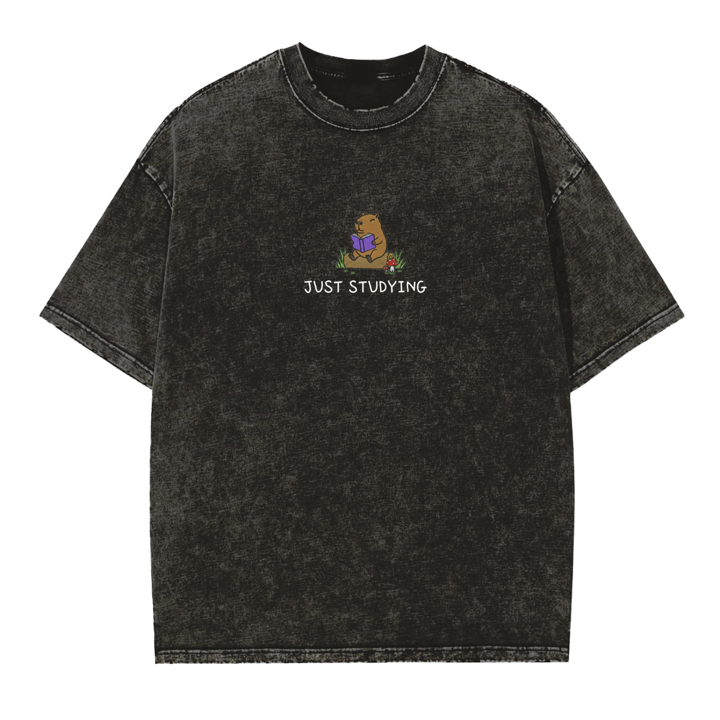 Just Studying || Vintage Washed