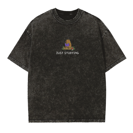 Just Studying || Vintage Washed