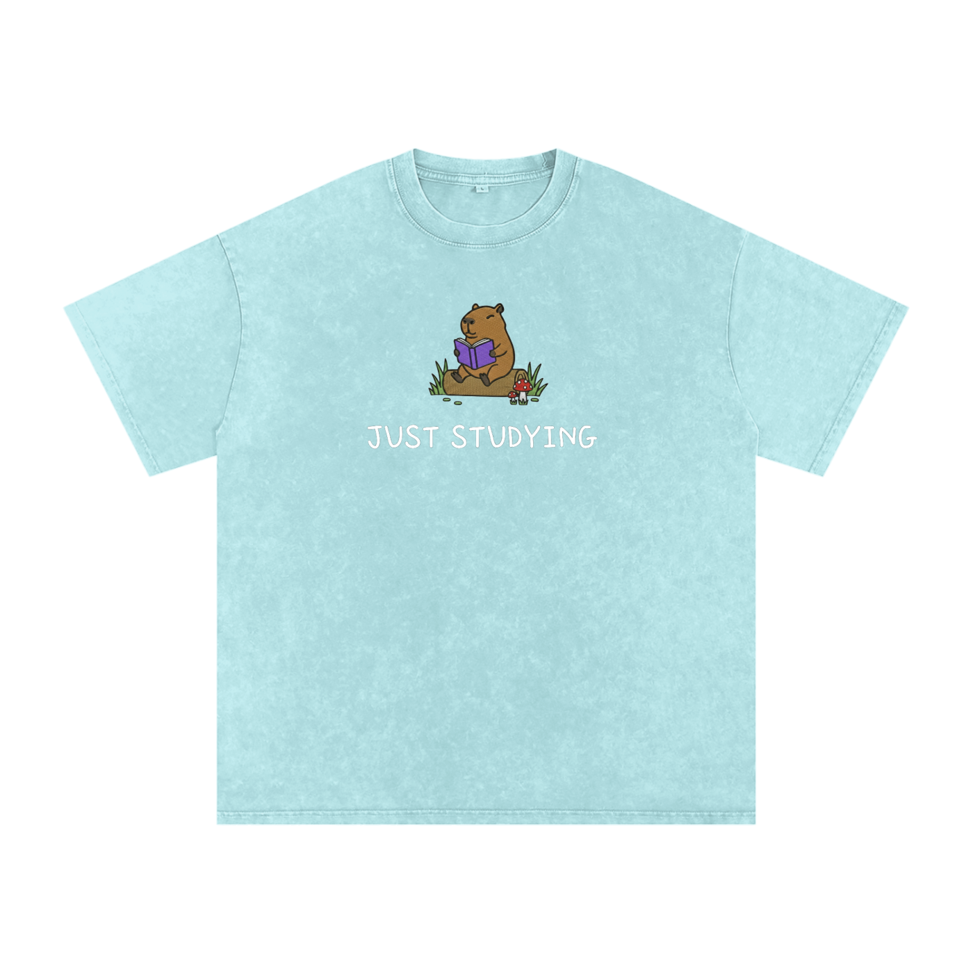 Snow Washed Oversized Cotton T-Shirt